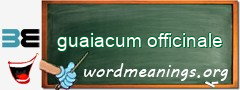 WordMeaning blackboard for guaiacum officinale